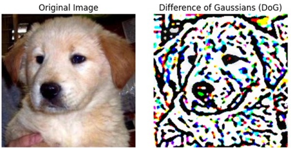 Difference of Gaussians Example