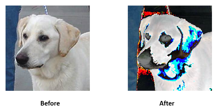 Before and After Fire Effect on Video