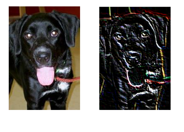 Before and After Ghost Effect