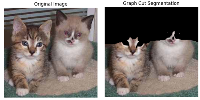 Graph Cut Segmentation Example