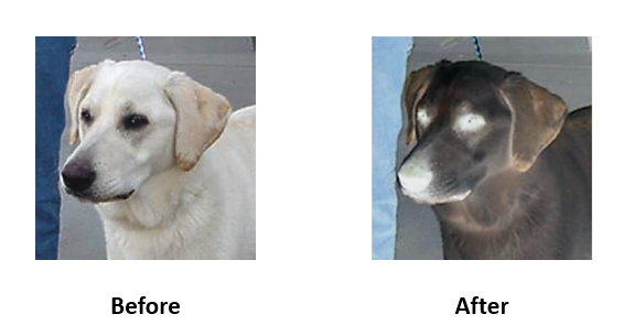 Before and After Negative effect on Video
